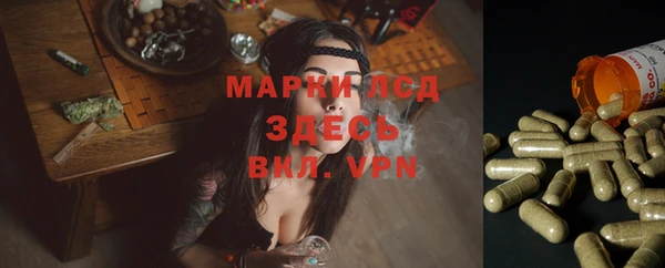 mdpv Арсеньев