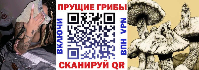 Галлюциногенные грибы MAGIC MUSHROOMS  Баксан 